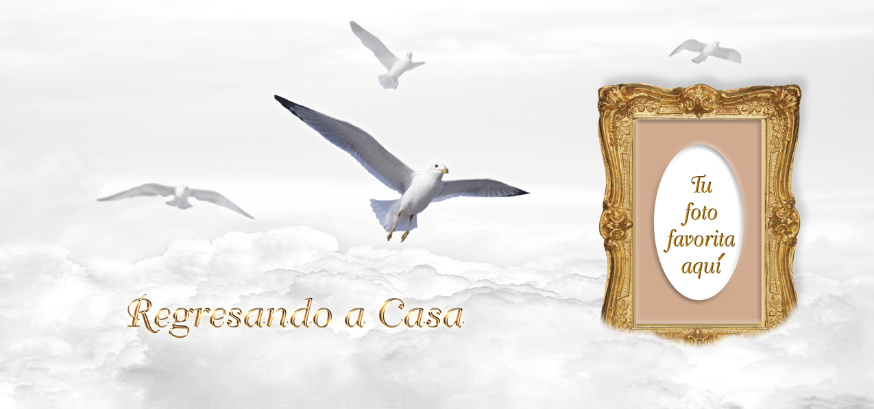 Regresando a Casa Birds White